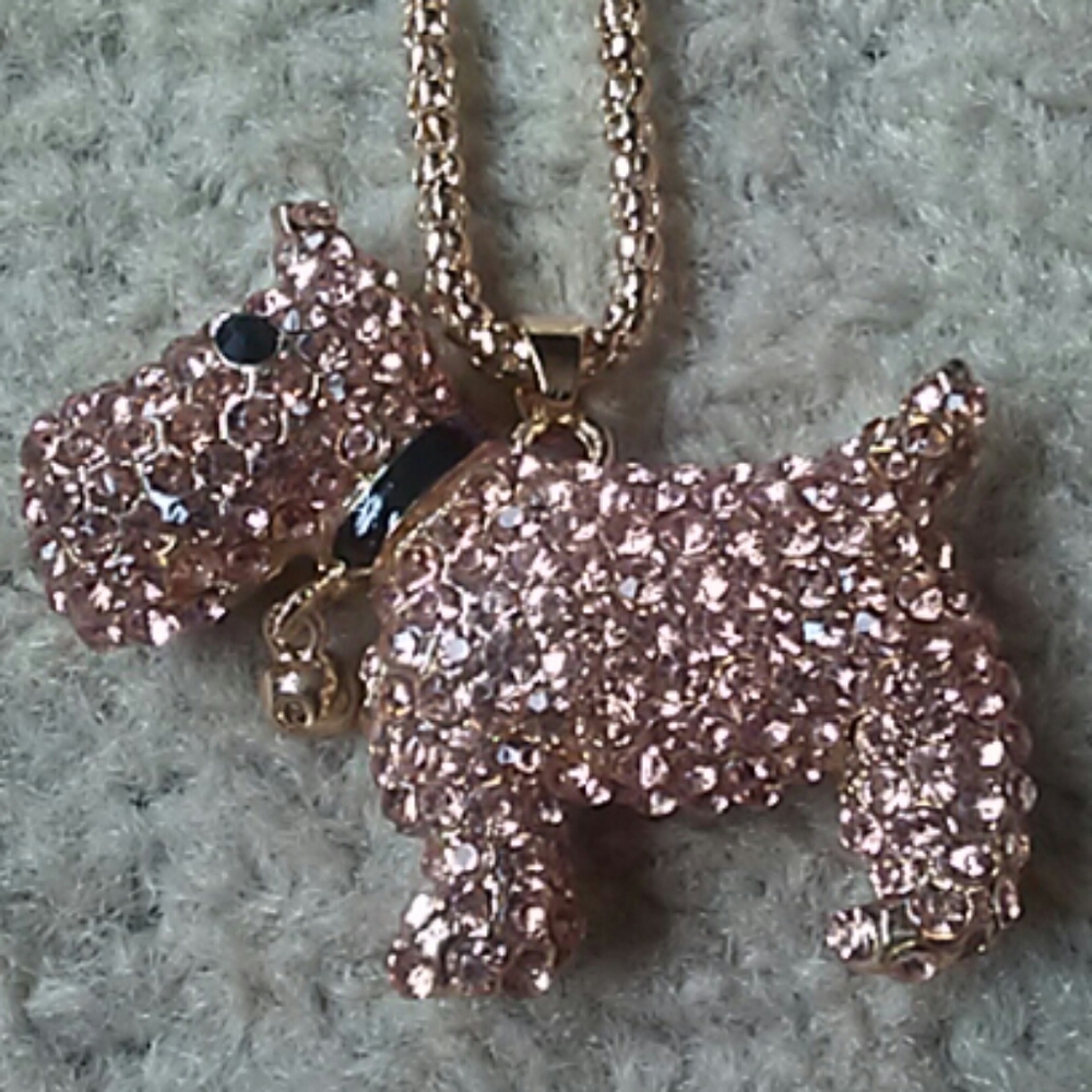 new betset johnson puppy